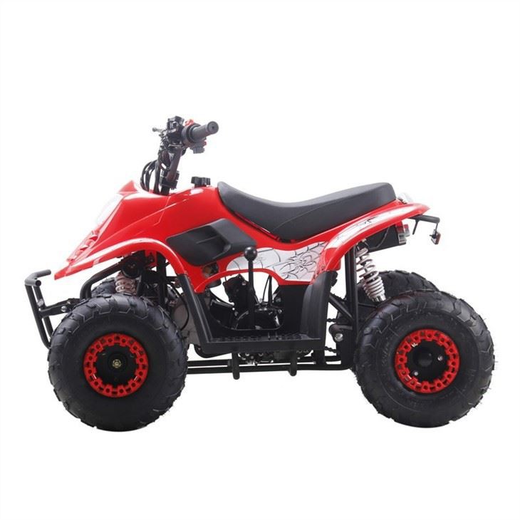 50cc 110cc quad ATV (2)