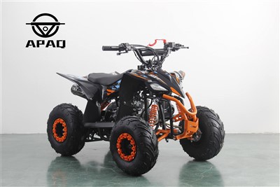 110cc otroški atv